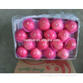 /msite/products/detail/productid/54855513/id/542998.html